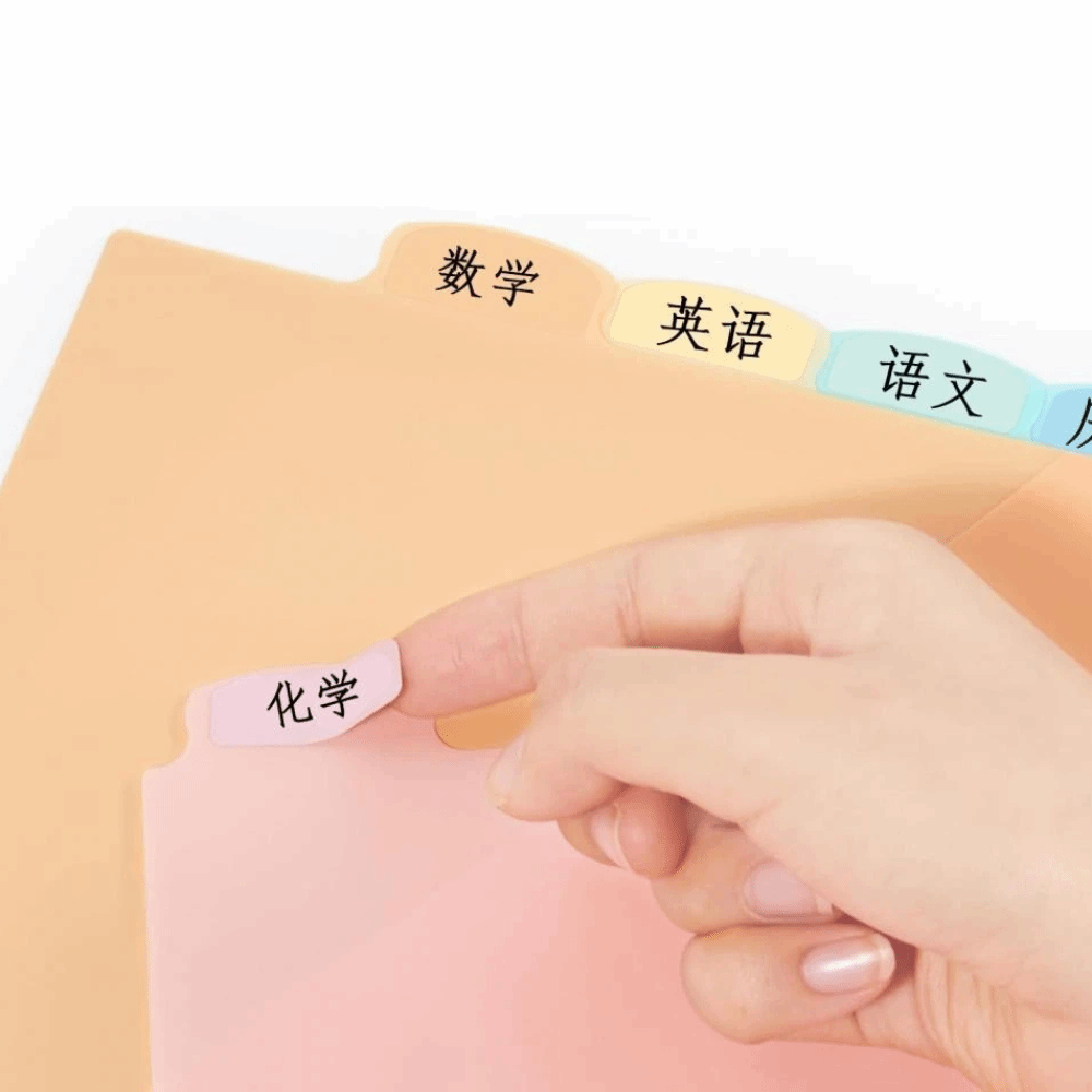 8 pcs Durable A4 Pastel Binder - Tab Divider A4 review and price