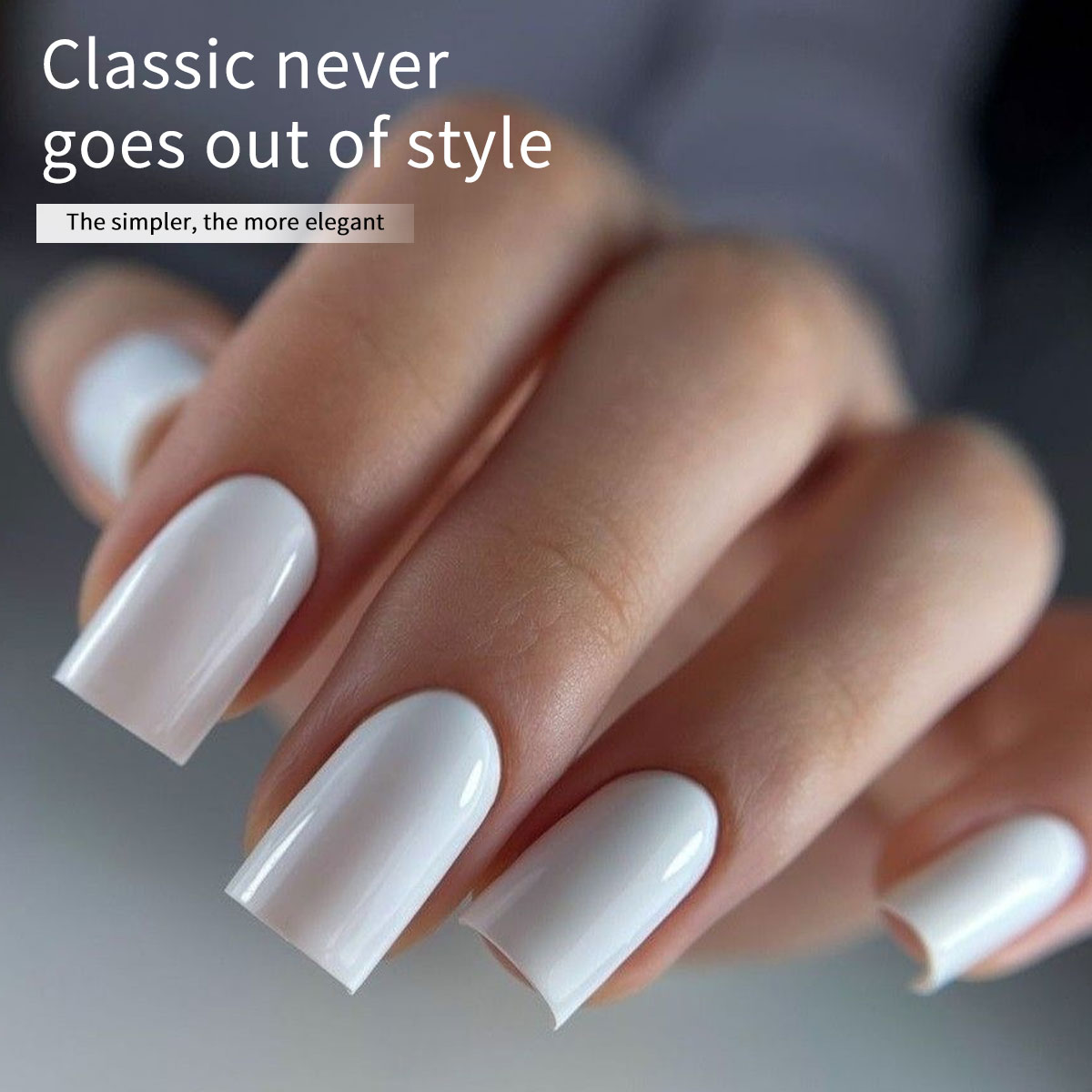 Hassleless 2-Pack Pure White + - Gel Refill Pack review and price