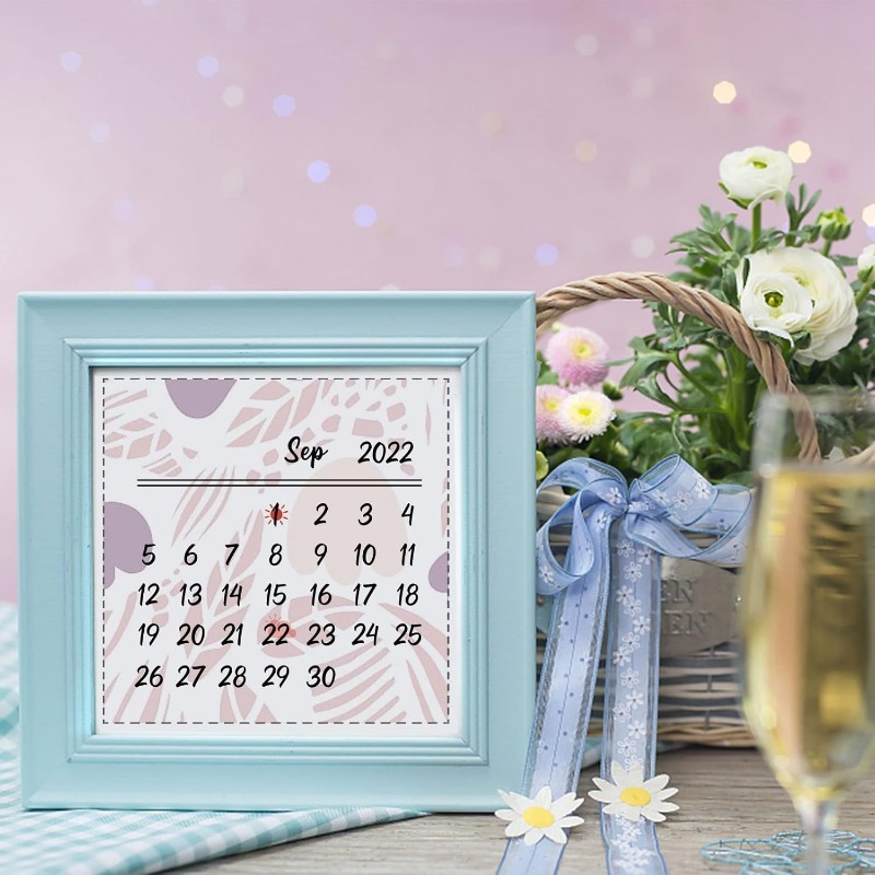 1PC 8.3x5.8in Calendar Clear S - Rubber Date Stamp review and price
