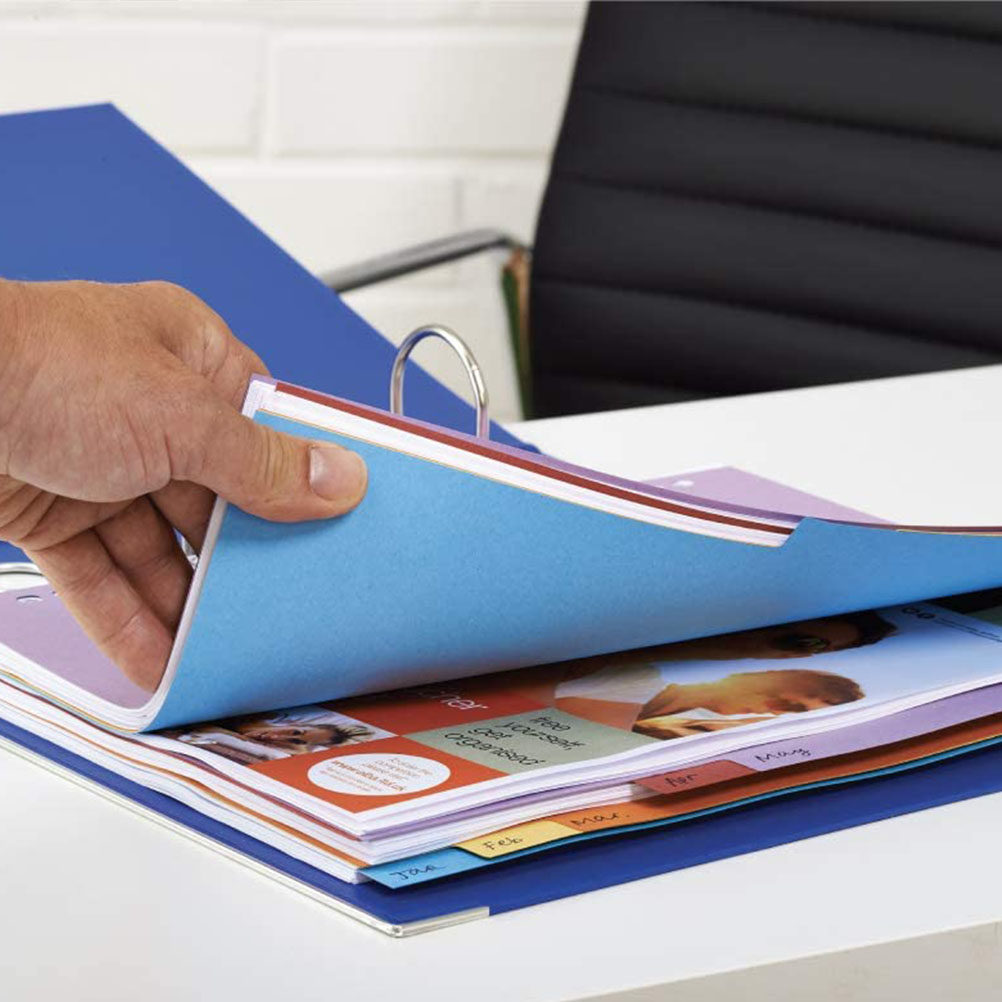 12Pcs A4 Index Dividers 11 Hol - Tab Divider A4 review and price