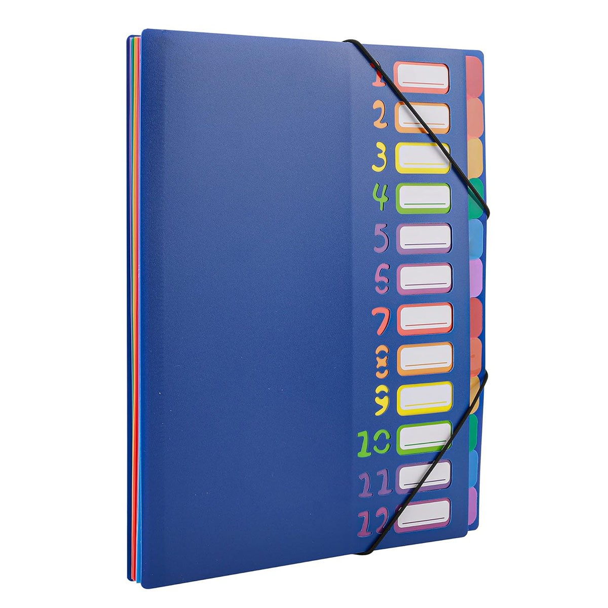 A4 Size Rainbow Tab Expanding  - Tab Divider A4 review and price